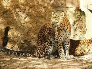 Unwind on the Best Beaches of Sri Lanka: A Traveler&rsquo;s Paradise of Sun, Sand, and Serenity